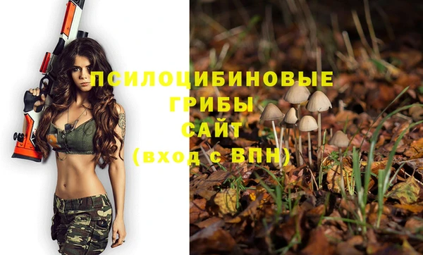 хмурый Баксан