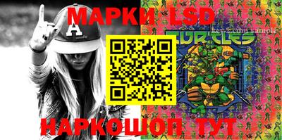 шишки Дмитров