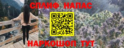 шишки Дмитров
