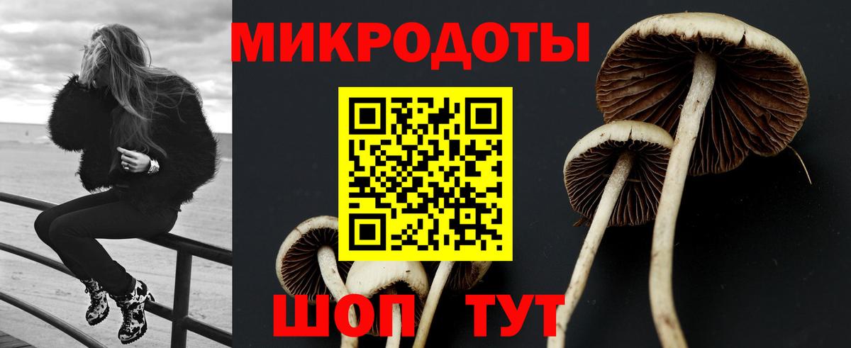 Белово  Галлюциногенные грибы MAGIC MUSHROOMS  Вход с VPN 